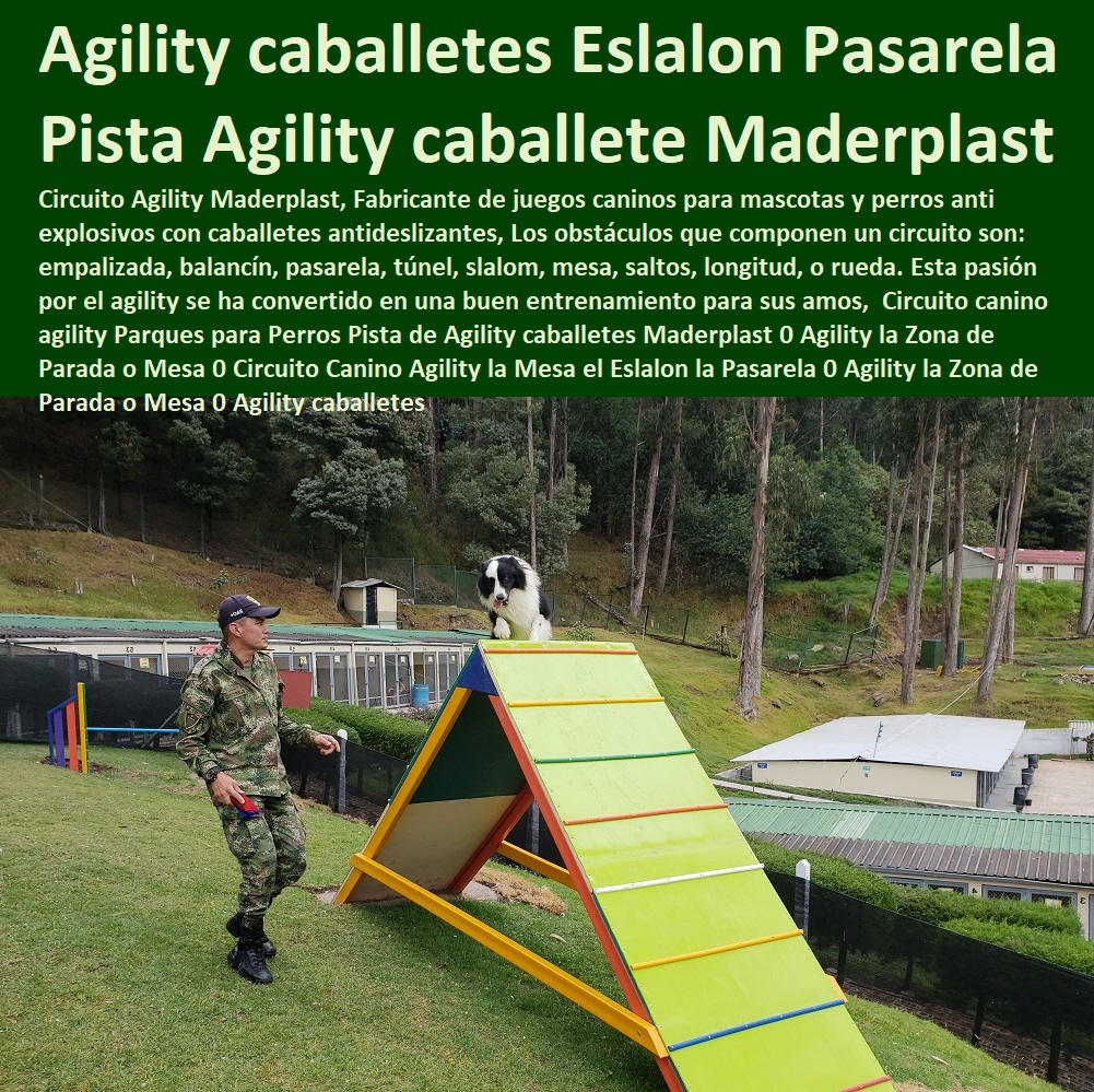 33 CASAS PARA PERROS MASCOTAS 0 AGILITY DE PERROS 0 PISTAS DE ADIESTRAMIENTO CANINOS 0 OBSTÁCULOS EQUIPO DE AGILITY PARA PERROS 0 Cunas Y Parideras Camas Para Perros 0 Pista Campeonatos Para Perros 0 Parques Para Perros 0 Puertas Jaulas Corrales Para Perros 0 Fabrica Circuitos Agility Caninos 0 Perreras Para Caninos Circuito canino Agility Parques para Perros Pista de Agility caballetes Maderplast 0 Agility la Zona de Parada o Mesa 0 Circuito Canino Agility la Mesa el Eslalon la Pasarela 0 Agility la Zona de Parada o Mesa 0 Casas Para Perros Y Mascotas, Agility De Perros, Pistas De Adiestramiento, Caninos Para Perros, Equipo De Agility Para Perros, Cunas Y Parideras Para Perros, Parques Para Perros, Corrales Para Perros, Jaulas cuidado de perros, Agility caballetes Circuito canino Agility Parques para Perros Pista de Agility caballetes Maderplast 0 Agility la Zona de Parada o Mesa 0 Circuito Canino Agility la Mesa el Eslalon la Pasarela 0 Agility la Zona de Parada o Mesa 0 Agility caballetes